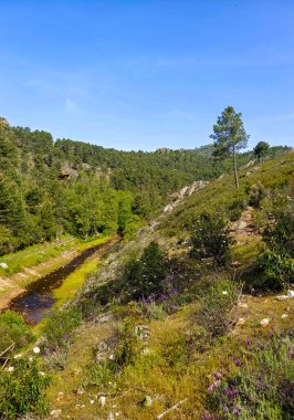 Mountains with river and flowers in Extremadura in the center of Spain in a sunny day