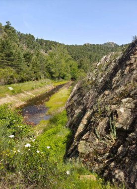 Mountains with river and flowers in Extremadura in the center of Spain in a sunny day