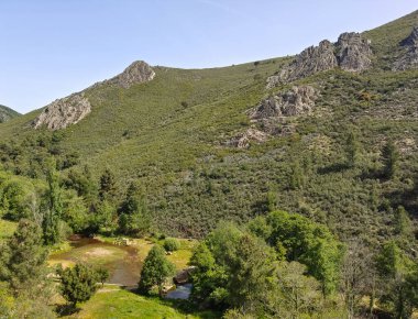 Meadows with trees and flowers in Extremadura in the center of Spain in a sunny day