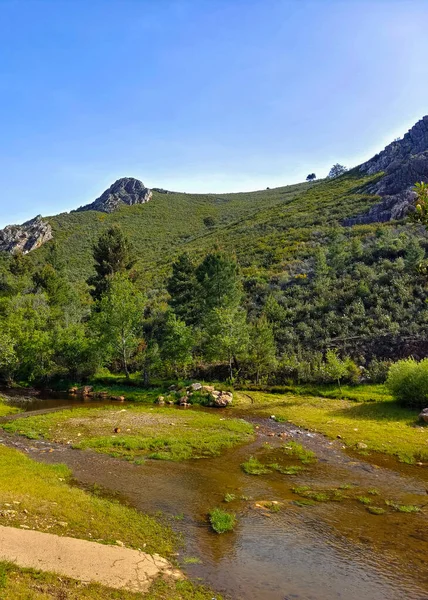 Mountains with river and flowers in Extremadura in the center of Spain in a sunny day