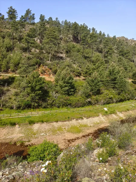 Mountains with river and flowers in Extremadura in the center of Spain in a sunny day