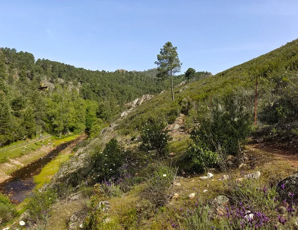 Mountains with river and flowers in Extremadura in the center of Spain in a sunny day