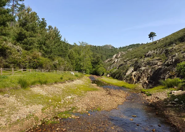 Mountains with river and flowers in Extremadura in the center of Spain in a sunny day