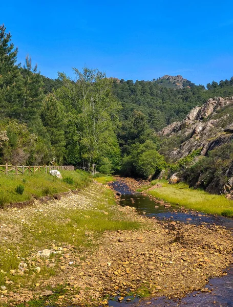 Mountains with river and flowers in Extremadura in the center of Spain in a sunny day