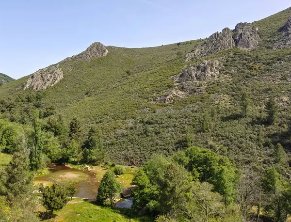 Meadows with trees and flowers in Extremadura in the center of Spain in a sunny day