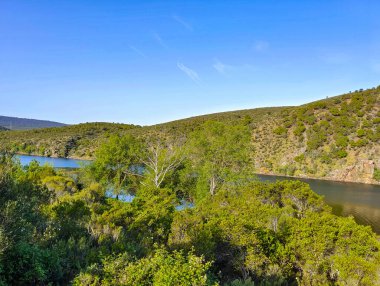Tagus river in Caceres in the center of Spain in a spring day.