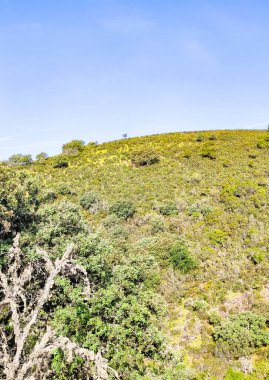 Tagus valley in the center of Spain in San Carlos de Alcantara in a sunny day