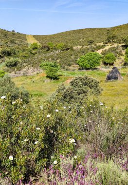 Tagus valley in the center of Spain in San Carlos de Alcantara in a sunny day