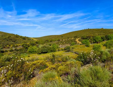 Tagus valley in the center of Spain in San Carlos de Alcantara in a sunny day