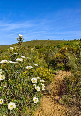 Tagus valley in the center of Spain in San Carlos de Alcantara in a sunny day