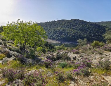 Tagus valley in the center of Spain in San Carlos de Alcantara in a sunny day