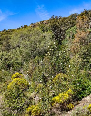 Tagus valley in the center of Spain in San Carlos de Alcantara in a sunny day