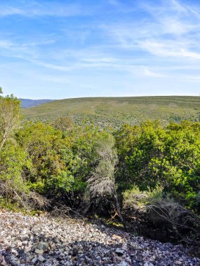 Tagus valley in the center of Spain in San Carlos de Alcantara in a sunny day