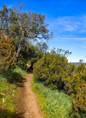 Tagus valley in the center of Spain in San Carlos de Alcantara in a sunny day
