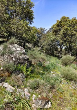 Tagus valley in the center of Spain in San Carlos de Alcantara in a sunny day