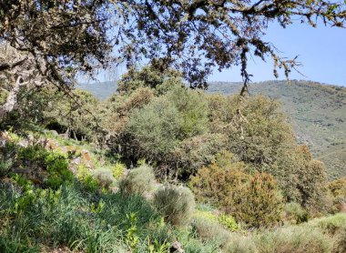 Tagus valley in the center of Spain in San Carlos de Alcantara in a sunny day