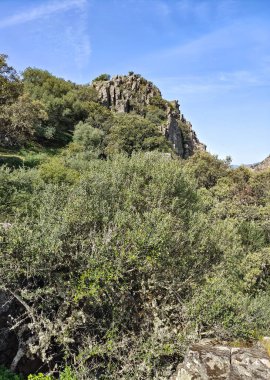 Tagus valley in the center of Spain in San Carlos de Alcantara in a sunny day