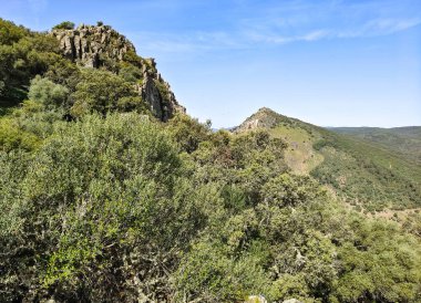 Tagus valley in the center of Spain in San Carlos de Alcantara in a sunny day