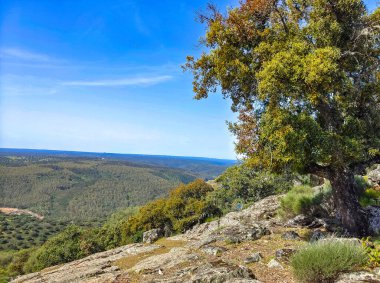 Tagus valley in the center of Spain in San Carlos de Alcantara in a sunny day