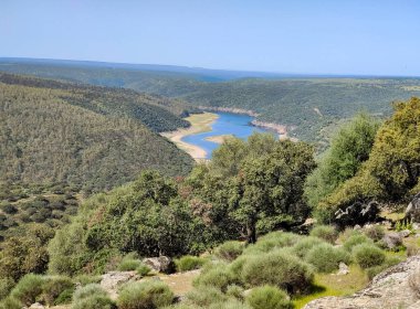 Tagus river in Caceres in the center of Spain in a spring day.