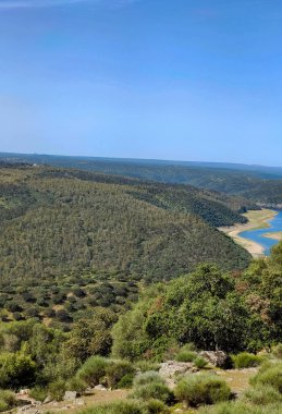 Tagus river in Caceres in the center of Spain in a spring day.