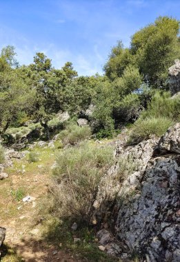 Tagus valley in the center of Spain in San Carlos de Alcantara in a sunny day