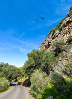 Tagus valley in the center of Spain in San Carlos de Alcantara in a sunny day