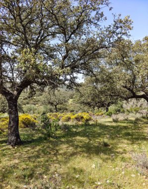 Tagus valley in the center of Spain in San Carlos de Alcantara in a sunny day