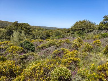 Tagus valley in the center of Spain in San Carlos de Alcantara in a sunny day