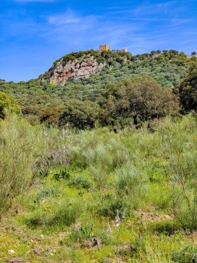 Tagus valley in the center of Spain in San Carlos de Alcantara in a sunny day