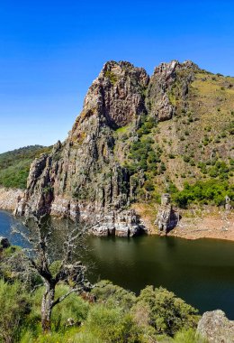 Tagus river in Caceres in the center of Spain in a spring day.