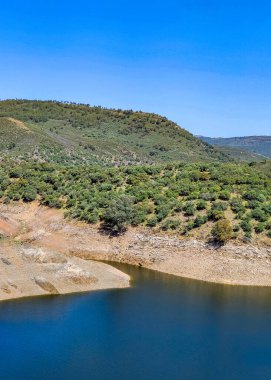Tagus river in Caceres in the center of Spain in a spring day.