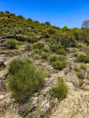 Tagus valley in the center of Spain in San Carlos de Alcantara in a sunny day