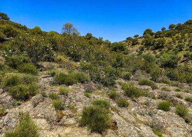 Tagus valley in the center of Spain in San Carlos de Alcantara in a sunny day