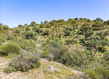 Tagus valley in the center of Spain in San Carlos de Alcantara in a sunny day