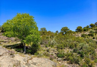 Tagus valley in the center of Spain in San Carlos de Alcantara in a sunny day