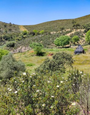 Tagus valley in the center of Spain in San Carlos de Alcantara in a sunny day