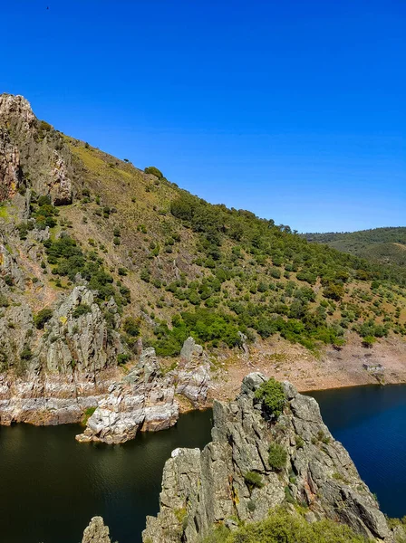 Tagus river in Caceres in the center of Spain in a spring day.