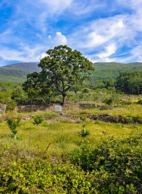 Villanueva de la Vera 'da manzara İspanya' nın merkezinde bulutlu bir günde
