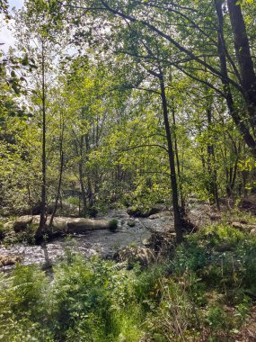 Villanueva de la Vera 'da manzara İspanya' nın merkezinde bulutlu bir günde