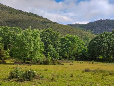 Villanueva de la Vera 'da manzara İspanya' nın merkezinde bulutlu bir günde