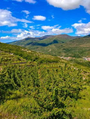 İspanya 'nın merkezindeki Jerte Vadisi' ndeki dağlar bulutlu bir günde