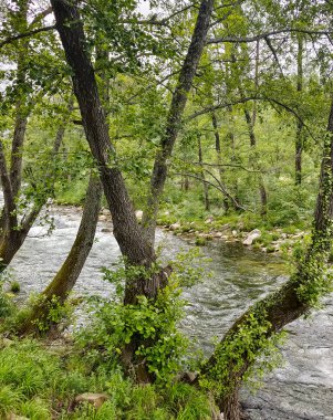 Nehir Cabezuela del Valle Extremadura 'da bulutlu bir günde