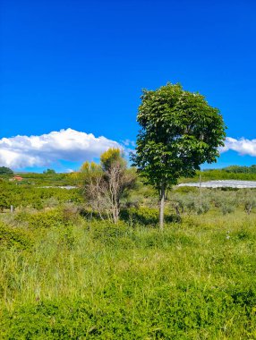 Güneşli bir günde İspanya 'nın merkezindeki Jerte vadisinde dağlar