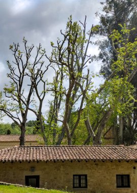 Bulutlu bir günde İspanya 'nın merkezindeki Cuacos de Yuste' deki San Jeronimo Manastırı 'nın dışında. Orada İmparator V. Carlos yaşardı..