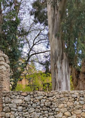 Bulutlu bir günde İspanya 'nın merkezindeki Cuacos de Yuste' deki San Jeronimo Manastırı 'nın dışında. Orada İmparator V. Carlos yaşardı..