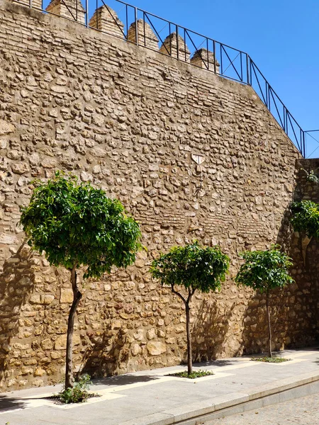 Strada Del Villaggio Spagnolo Coronil Andalusia Con Muro Castello — Foto Stock
