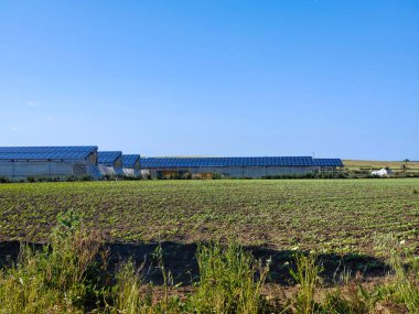 Güneşli bir günde Endülüs Tarlaları