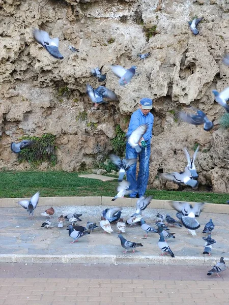 Torremolinos Spanien Mai 2022 Frau Füttert Tauben Südspanien Einem Sonnigen — Stockfoto