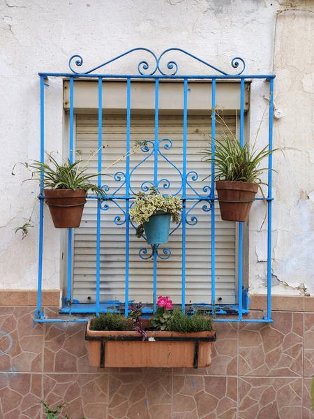 Street Flower Pots South Spain Sunny Day — Stock Photo, Image